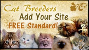 Bengal cat breeders get your free listing!