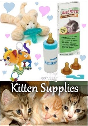 Kitten Supplies